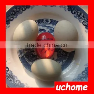 UCHOME Semi Transparent Color Change Kitchen Cooking Timer Egg Timer thumbnail-3