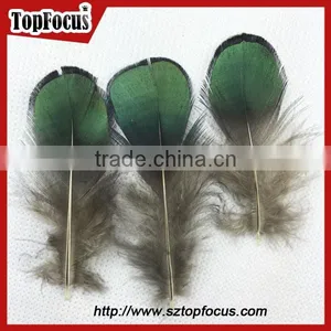 New Hot Carnival Costume Trimming Fringe Green Pheasant Feathers Prices thumbnail-1