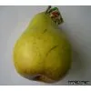 Artificial Vegetable thumbnail-1