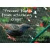 Plastic BOP Anti Bird Net&mesh Fruit&garden Protect Net&mesh Agriculture Anti Bird Net&mesh(factory Directly) thumbnail-2
