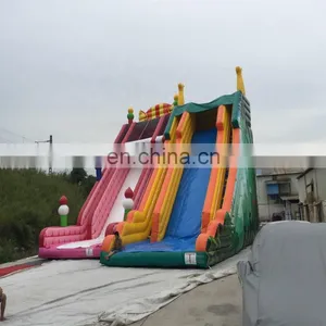 CE Durable Wahoo Kids Inflatable Water Slide for Children 's Happy Dream Games thumbnail-3