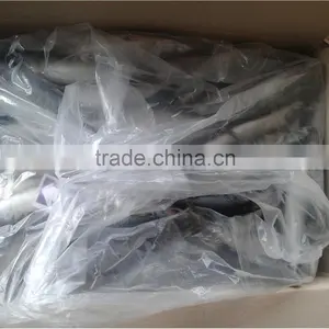 Hot Sale Grade A Horse Mackerel thumbnail-5