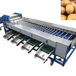 Orang Sorter Machine/ Mandarin Orange Sorting Machine/ Apple Grading Machine thumbnail-6