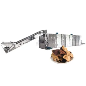 Continuous Vegetable Drying Machine Potato Cucumber Drying Processing Line EPC thumbnail-1