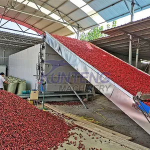 Belt Conveyor Food Fruit Grape Raisin Dry Slip Ginger Processing Bsf Insects Drying Machine Plant Corn Cob Seaweed Cassava Dryer EPC thumbnail-3