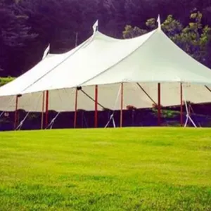 Factory Price PVC Coated Pole Tent Outdoor Camping Exhibition Tent thumbnail-1