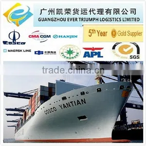 Sea Container DDP/DDU Shipping From China to St Petersburg thumbnail-1