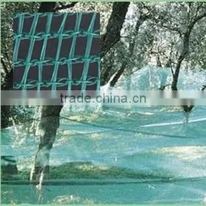 Factory Supply Olive Net/Harvest Nets/Collection/Collecting Net thumbnail-1