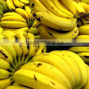 Fresh Banana thumbnail-1