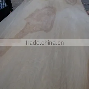 Hot Sale Rotary Cut Birch Plywood Veneer thumbnail-1