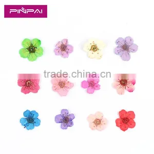 2016 12 Colors Dried Dry Flower UV Gel Acrylic False Tips Nail Art Decoration Real Flower thumbnail-5