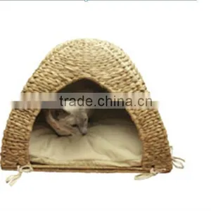 Animal House thumbnail-1