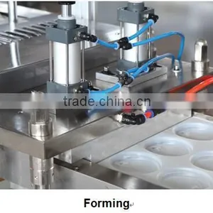 PP Tray Forming Machine thumbnail-2