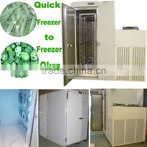 Quick Freezer for 400kg Okra Instant Freezing thumbnail-1