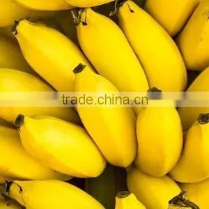 Top Quality & Competitive Price of Natural Spray Dried Banana Powder thumbnail-1