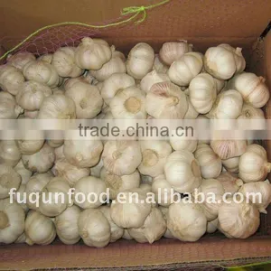 Chinese Garlic 2012 Crop thumbnail-1