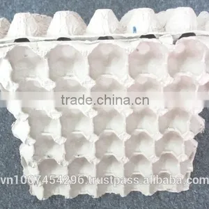 * Paper Pulp Egg Tray thumbnail-1