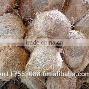 Matured Coconut thumbnail-1