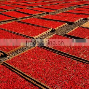 2016 New Price Goji Berry Goji Grade A thumbnail-3