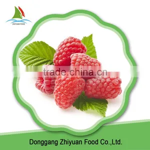 Chinese IQF Frozen Raspberry Crumble in Good Quality in Bulk thumbnail-1
