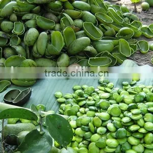 Griffonia Seed Extract thumbnail-2