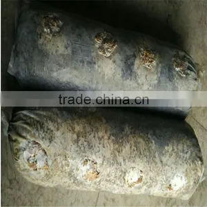 Dried Log Flower Shiitake Mushrooms Logs Whole Low Price For Sale thumbnail-4