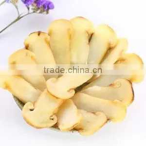 Wild Matsutake Slices Frozon Organic Mushroom With Good Quality thumbnail-2