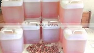 Morocco Argan Oil in Bulk thumbnail-1
