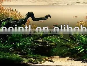 Aquarium Resin Ornaments thumbnail-1