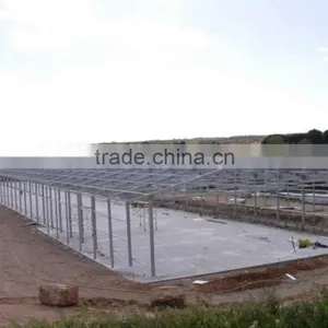 Steel Structure Chicken Shed /environmental Control Steel House thumbnail-4