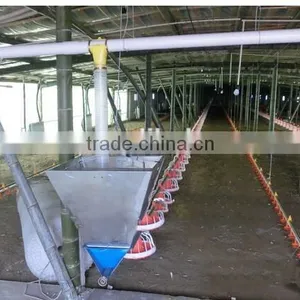 Automatic Chicken Floor Raising System With Drinking and Feeding Line for Sale thumbnail-1