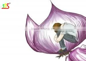 Automatic Onion Peeling Machine With Certificate thumbnail-1