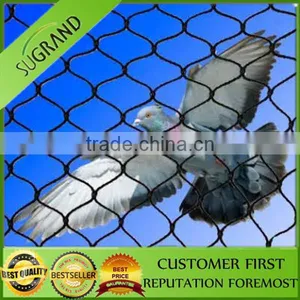 Virgin HDPE PE Plastic Agricultural Bird Netting Vineyard Bird Netting Bird Protection Net thumbnail-5