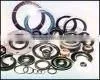 Oil Seal and Valve Stem Seals thumbnail-1