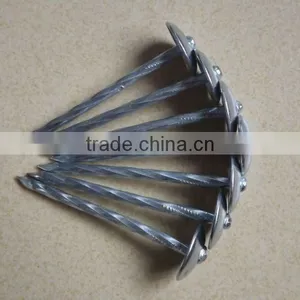 Hot-selling Polished Common Nails / Roofing Nails / Flat Head Nails thumbnail-6