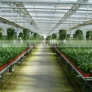 Glass Sunlight Greenhouse for Vegetables thumbnail-1