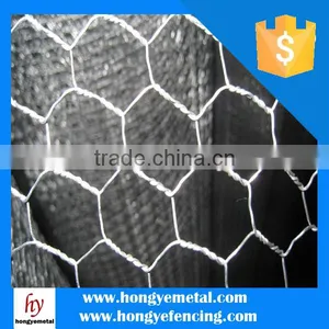 China Metal Hot Dipped Electro Galvanized Double Twisted Animal Cage Fence Hexagonal Wire Mesh Factory Price thumbnail-1