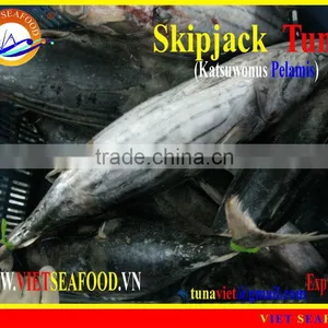 FROZEN W/R SKIPJACK TUNA thumbnail-1