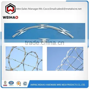 Bulgaria Salable Factory Selling Directly Razor Barbed Wire Razor Wire thumbnail-4
