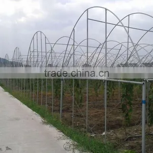 Agricultural Greenhouses For Soilless Hydroponics thumbnail-2