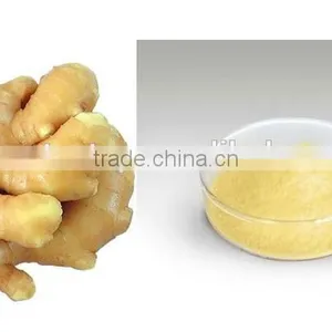 2016 Hot Sale High Quality in Bagged Instant Honey Ginger Tea 6gx20bags/box 7gx20bags/box 13g*10bags Honey Ginger Tea OEM thumbnail-1