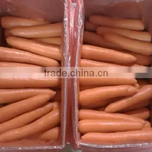 Fresh Carrot 316# thumbnail-1
