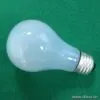 Sell Neodymium Incandescent Bulbs thumbnail-1