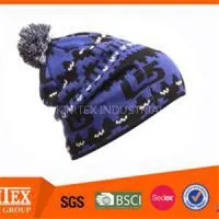 Winter Hat thumbnail-1