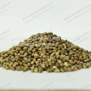 Organic Hemp Seed thumbnail-1