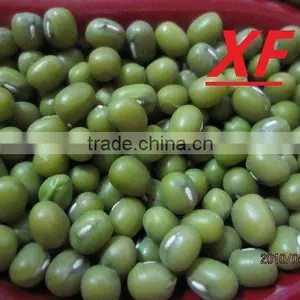 Organic Green Mung Bean thumbnail-1