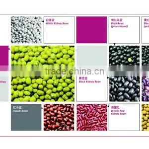 Mung Beans thumbnail-4