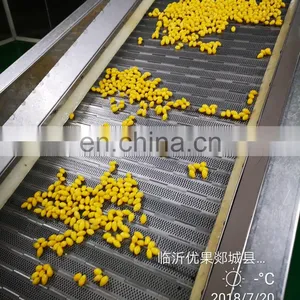 Sinocharm BRC-A Approved New Crop IQF Frozen Ginkgo Nut IQF Ginkgo Nut thumbnail-5