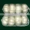 Chinese White Garlic thumbnail-1
