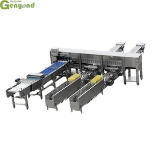 Farm Use Industrial Eggs Grading Machine Sorter Factory Sale 2024 Egg Grading Machine Automatic Egg Grading Packing Machine thumbnail-6